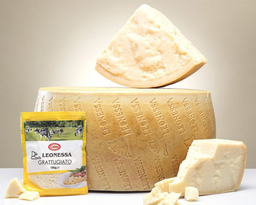 leonessa