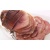 astralian-double-smoked-ham-boneless-sliced