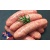 english-pork-sausages